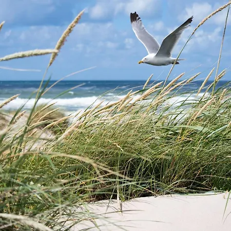 Lägenhet 2 Bedroom With Knokke-Heist